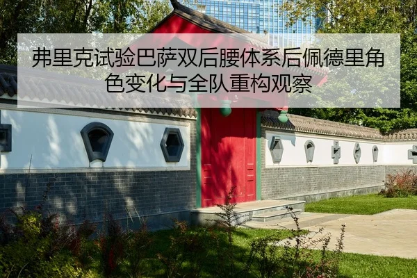 弗里克试验巴萨双后腰体系后佩德里角色变化与全队重构观察